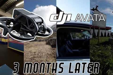 DJI AVATA | CAN YOU MAKE MONEY WITH IT?