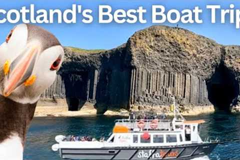 Puffins Don't Get Closer Than This! A Remarkable Boat Trip to The Scottish Isles (Staffa and Lunga)