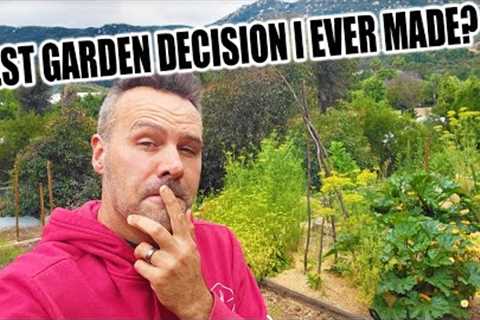 My Secret to Organic Gardening Success
