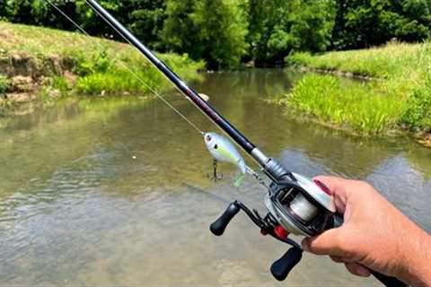 Fishing Big Lures in a Small Creek