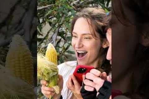 I just need a corn! Play Island Questaway! #shorts