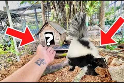 CLEANING MY EXOTIC PETS ENCLOSURE! ON THE RANCH!