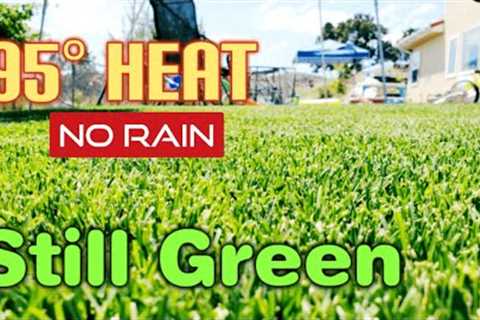How I Use WAY LESS Water To Keep My Lawn Green In The Summer | Irrigation &amp; Hydretain Tips