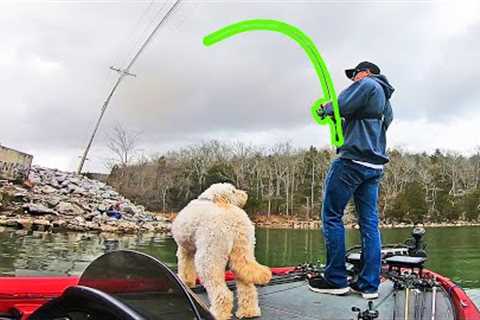 Fishing EARLY SPRING For Bass on Lake Guntersville! (LAKE IS LOW!)