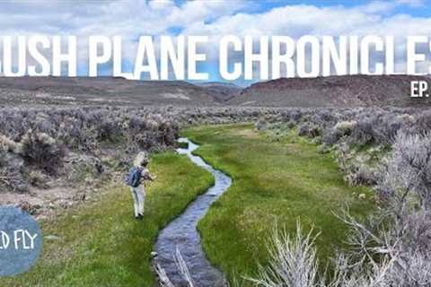 Fly Fishing Small Desert Stream in the Middle of Nowhere (w/ Trent Palmer)