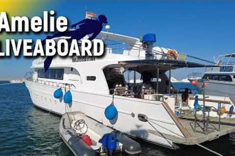 How and WHY to Dive the Red Sea | Egypt SCUBA Diving | Amelie Liveaboard
