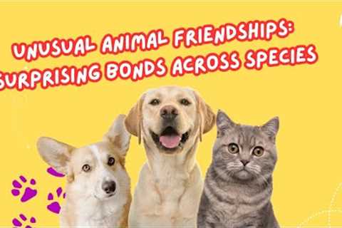 Unusual Animal Friendships: Surprising Bonds Across Species