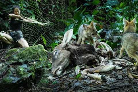 Hiding in the Bush, Hunting Wild Wolves/ Bushcraft &amp; Survival P.9