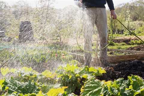 How to Water Your Vegetable Garden