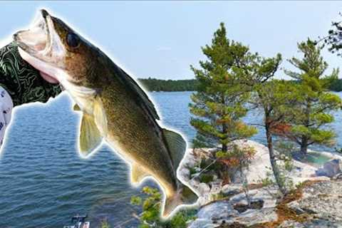 BEST CATCH &amp; COOK EVER! Northern Walleye Lure Fishing