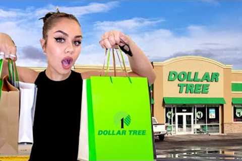 Dollar Tree Shopping SPREE + haul
