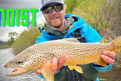 MOIST - a fly fishing trip