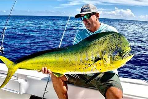 We took my Boat 180 miles Offshore! (Mahi Mahi and Grouper Catch &amp; Cook)