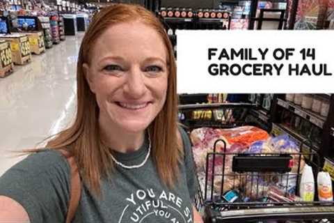 FAMILY OF 14 GROCERY HAUL