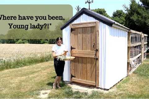 Gardening, Antique Shopping, &amp; The Life Update You've Been Waiting For.