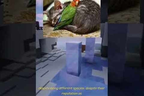 Most Unusual Animal Friendships: You Won't Believe Who's BFFs!