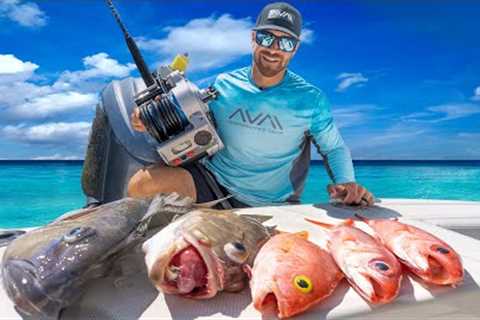 The Best Deep Sea Fish in Florida | Queen Snapper, Grouper, Yellow Eye &amp; Tile Fish Catch &amp;..