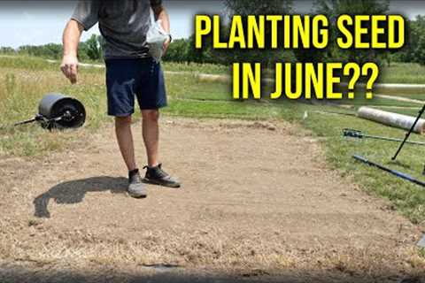 Planting Grass Seed In JUNE?!? // How To Plant Buffalo Grass From Seed