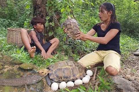 Catch fish Found turtle egg for food- Turtle egg braised with big fish for dinner Survival in forest