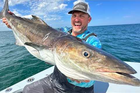This Fish looks Like a SHARK! {Catch Clean Cook} except it tastes WAY BETTER!!!