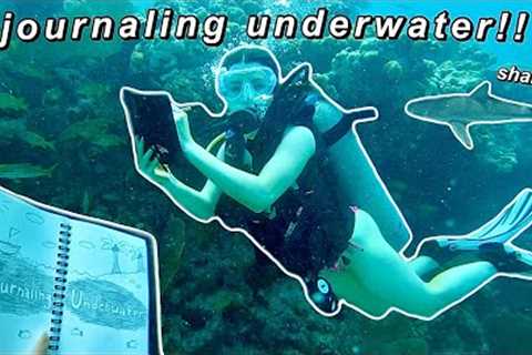 JOURNALING UNDERWATER🤿 🌊 ✍🏻 | journal with me while scuba diving!