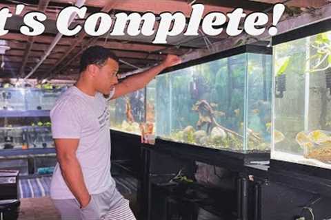 UPGRADING MY AQUARIUM WITH NEW FISH &amp; AQUASCAPE + FISH ROOM UPDATE