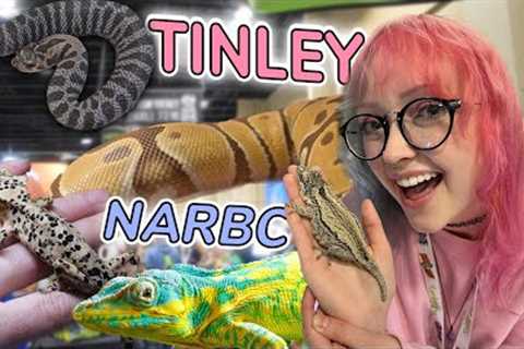 BIGGEST Reptile Expo in THE US! + My New Rare Lizards! - NARBC