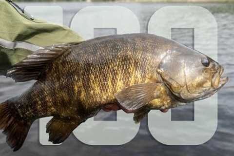 AMAZING BITE! 100 BASS FISHING with LURES &amp; JIGS!
