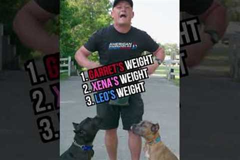 Guess Our Weight, Win FREE Dog Training!