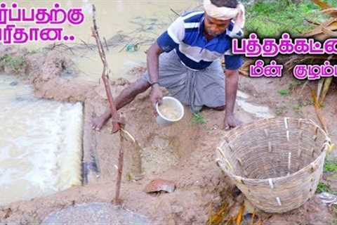 Pathakattai Fish Catching | Cooking | Fishing in Village using traditional fish catching technology