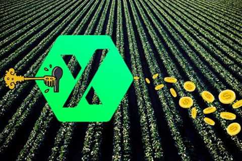 INCredible yield farming on PulseX  🚀