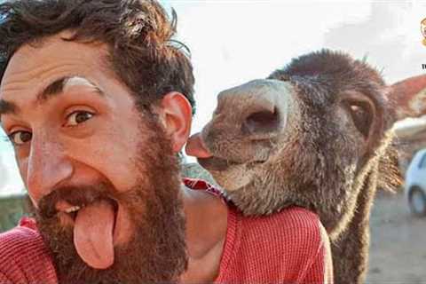 Cute Animal And Human That  Will Change Your Mood For Good |  Animal Show Love #Q4