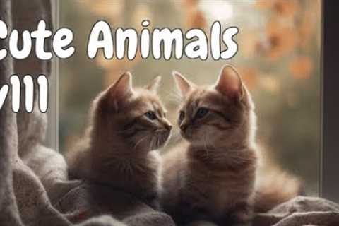 Unbelievable Animal Friendships You Need To See - Cute Animals v111