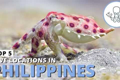 Scuba Diving Philippines - The Top 5 Dive Sites in the Country