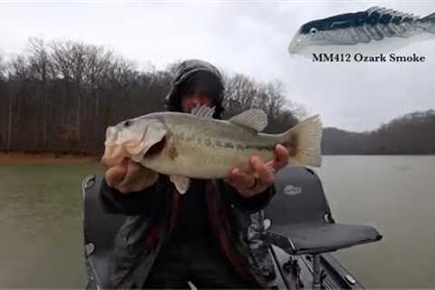 Bass Fishing with Livescope on Dale Hollow Lake