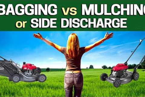 Mulching vs Bagging vs Side Discharge - Which is Best &amp; Why to help your Lawn