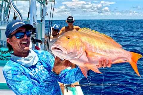 They LAUGHED at me! Small Rod HUGE Snapper! Catch and Cook on the REEF