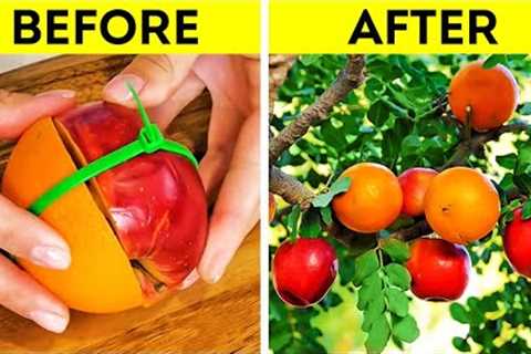 Outstanding Gardening Hacks For Every Household