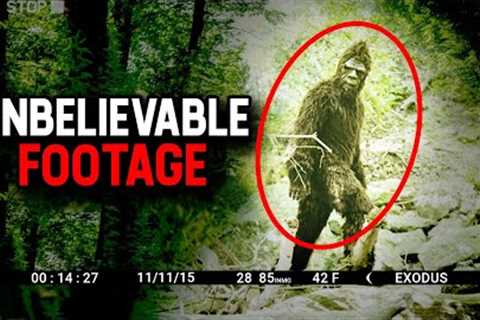 10 Minutes Of UNBELIEVABLE Trail Cam Footage