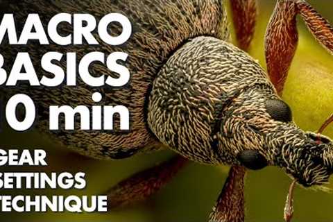 Macro Photography Basics in 10 Minutes