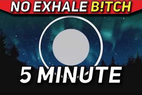 Hamza 5 Minute Meditation Breathing Exercise with Calm Ending