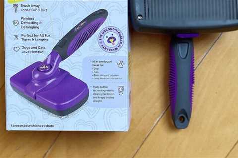 I tried the best pet brush on Amazon to stop cat hair from falling at the source