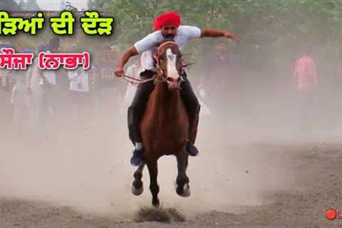 🔴SAUJA (Nabha) || HORSE RACING || 17 June 2023