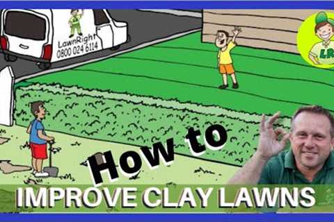 How to IMPROVE A CLAY lawn by drilling holes with an auger bit