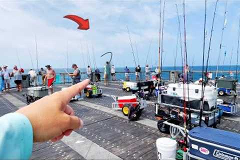 I Caught The Most BIZARRE Pier Fish! (Catch &amp; Cook)