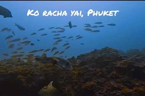 Scuba Diving in Ko Racha Yai, Phuket