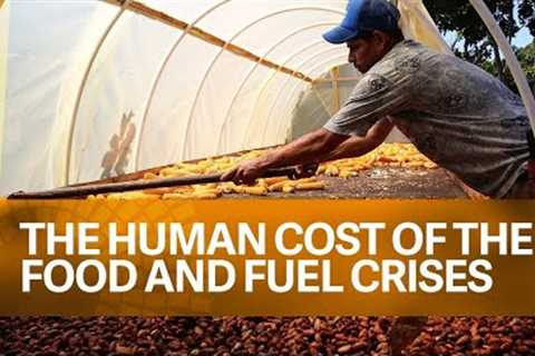 Food and Fuel Crises | Global Issues Awareness | YouBlog-Media