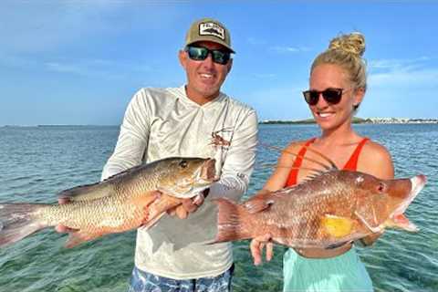 Mangrove Snapper and Hogfish in Keywest (Catch Clean and Cook)