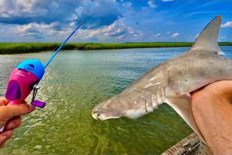 CHALLENGE- Can we catch SHARKS on Kiddie Rods!?? {Catch n’ Cook}