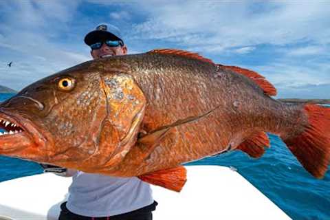6 Days at SEA for Once in Lifetime Catch! GIANT Cubera Snapper (Catch Clean Cook)